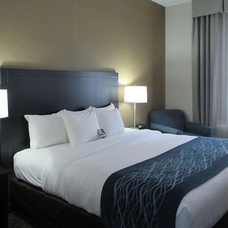 Comfort Inn Port Huron Exterior foto